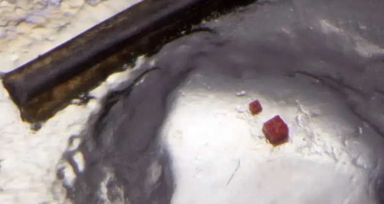 Read more about the article A fost creată cea mai mică piesă de LEGO